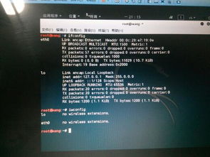 Kali Linux筆記本無線網卡缺失排查與加載指南